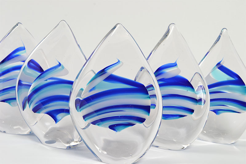 The City Managers Award of Excellence, established 2011.